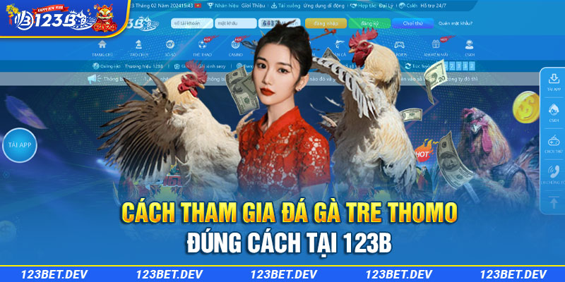 Cách tham gia đá gà tre thomo đúng cách tại 123B