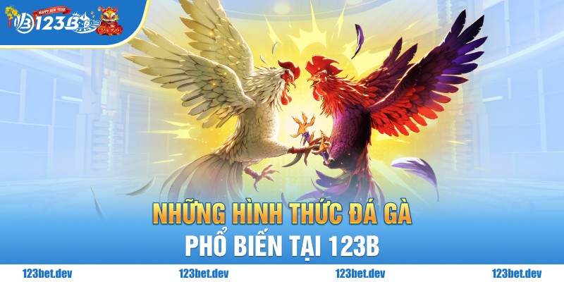 Những hình thức đá gà phổ biến tại 123B