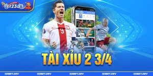 Tài Xỉu 2 3/4