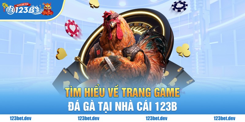 Tìm hiểu về trang game đá gà tại nhà cái 123B